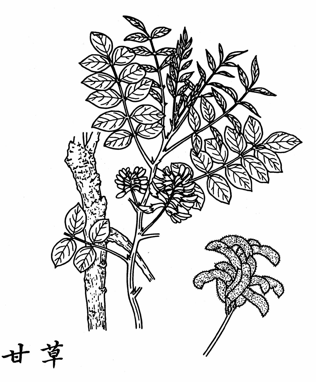 Gan Cao
